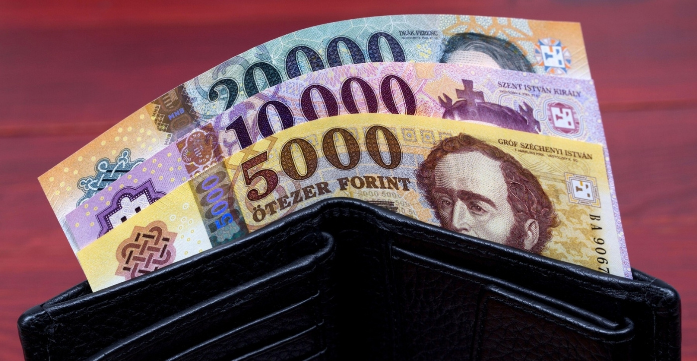 Pénztárca készpénzzel, tavaszi nagytakarítás és rezsicsökkentés tippek.
