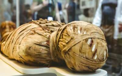 A régészek is ledöbbentek a Luxorban talált idegen feliraton, egy múmiát borított, nem mindennapi üzenetre hívja fel a figyelmet